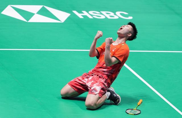 显著提高 显著提高